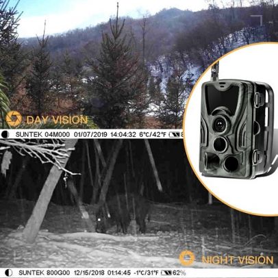 Примерни снимки от фотокапан HC-801 – денем и нощем