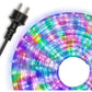 LED Коледен маркуч 10м.